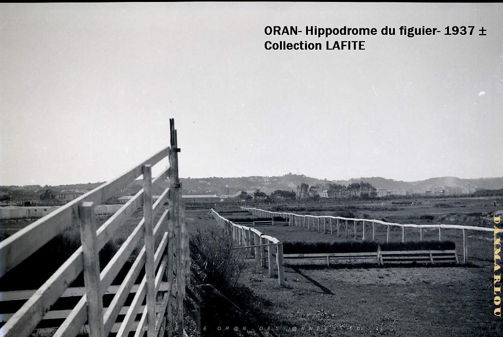 ORAN 1937 HYPPODROME DU FIGIER    (19).jpg